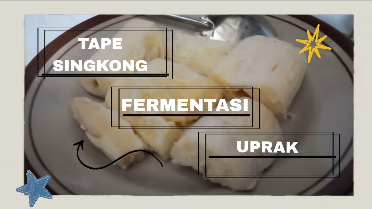HANIF AYADIGO || UJIAN PRAKTIK BIOTEKNOLOGI KONVENSIONAL || TAPE SINGKONG