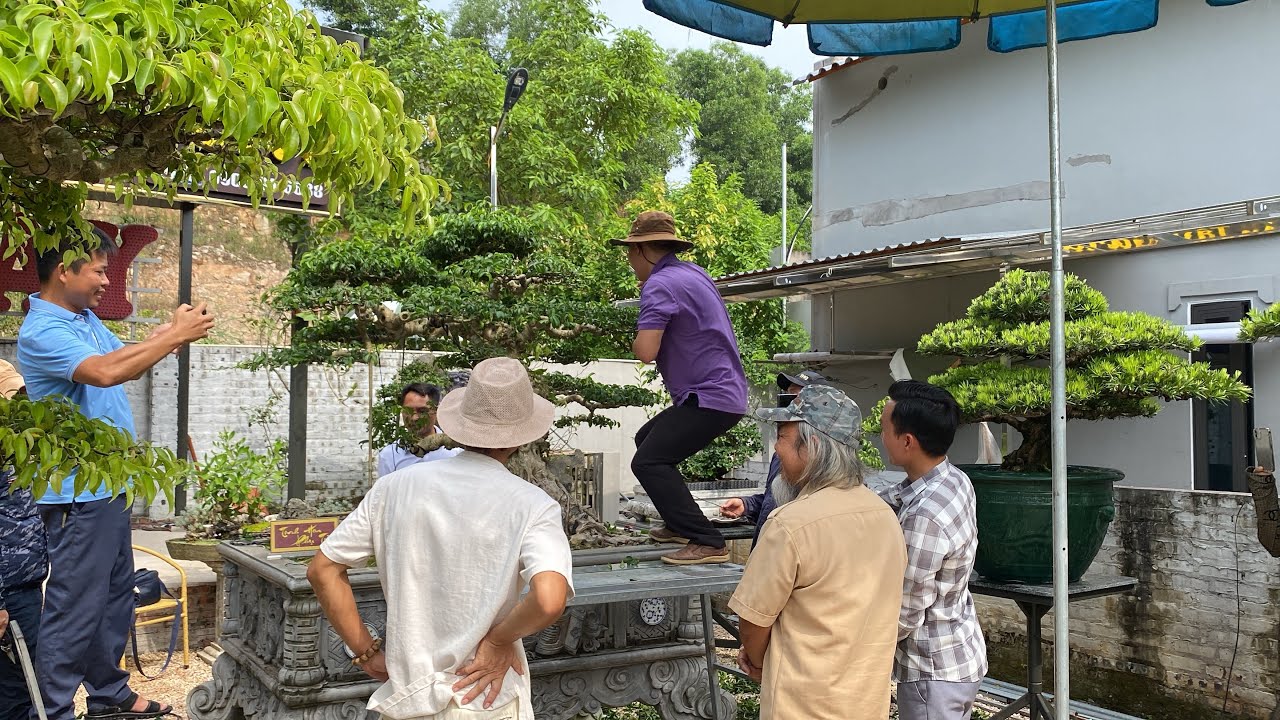 Xem kỹ 1 lần làm được theo ngay - Phương pháp Phạm Thuỳ