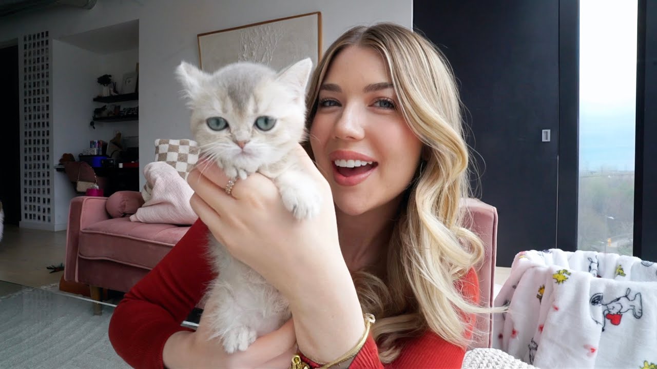 I GOT A KITTEN! *meet lumi*