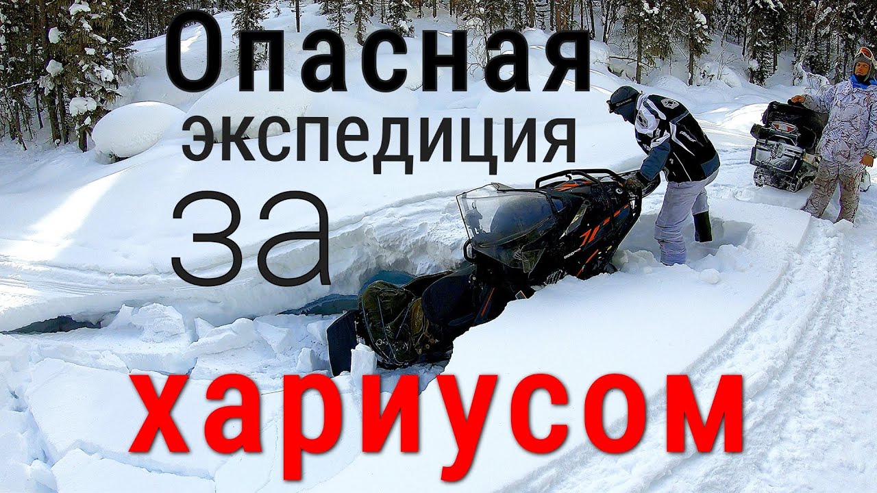 Да зачем бы мне нужен этот хариус/Опасная экспедиция на рыбное озеро/Новые сани для снегохода #1