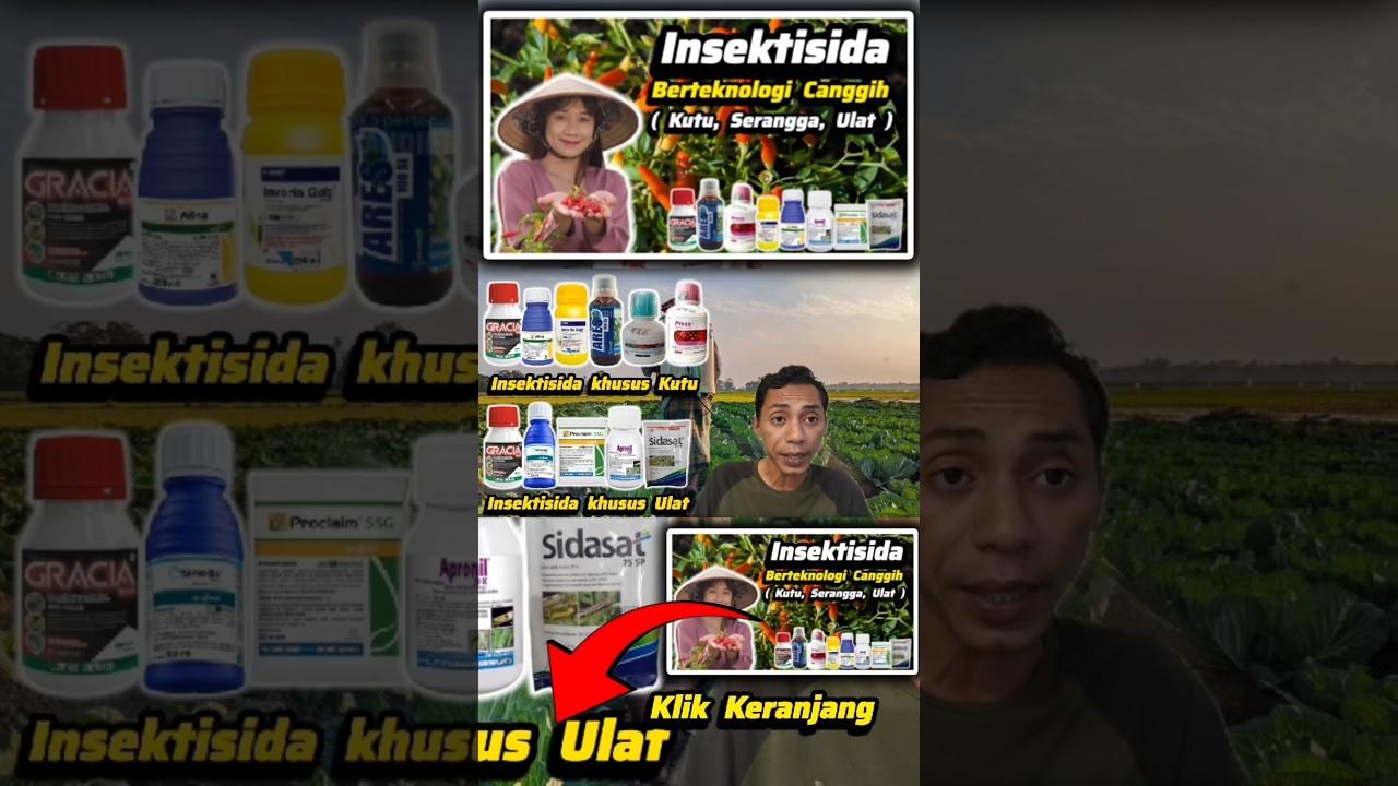 ♻️ Insektisida Yang Sudah Berteknologi Translaminar Untuk Basmi Hama Ulat, Kutu, Serangga, dll ♻️
