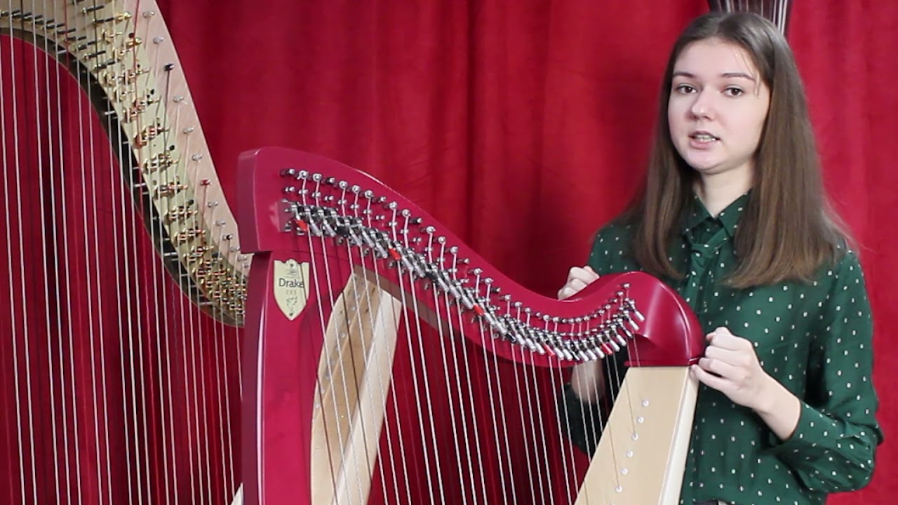 Аренда или Покупка. Какую Арфу купить ? Как выбрать ?