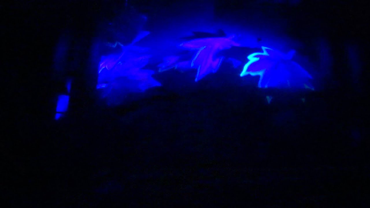 Verbolten( storm effect ) on-ride at Busch Gardens Williamsburg