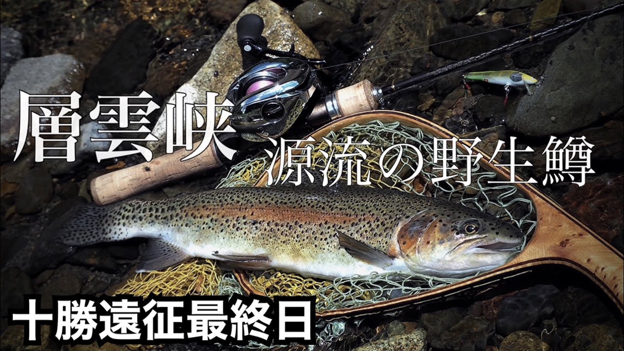 源流野生鱒を求めて！ 渓流ベイトフィネス