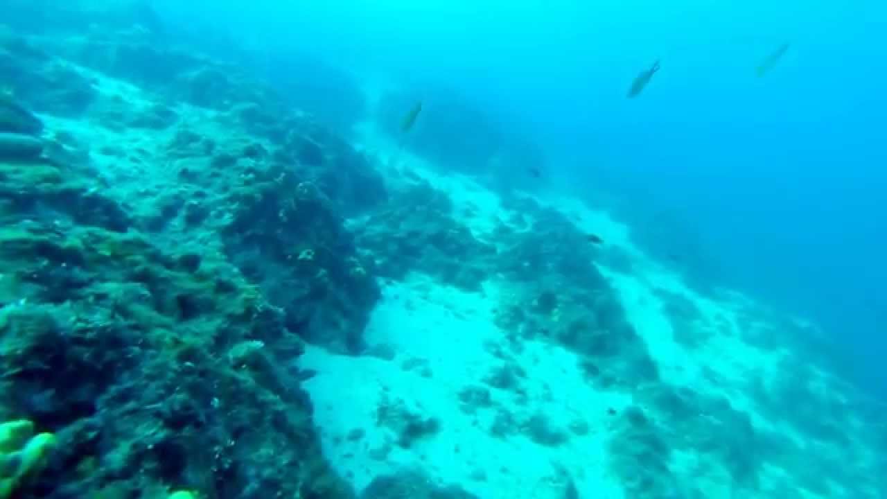 Solo Scuba Dive to -50m depth.