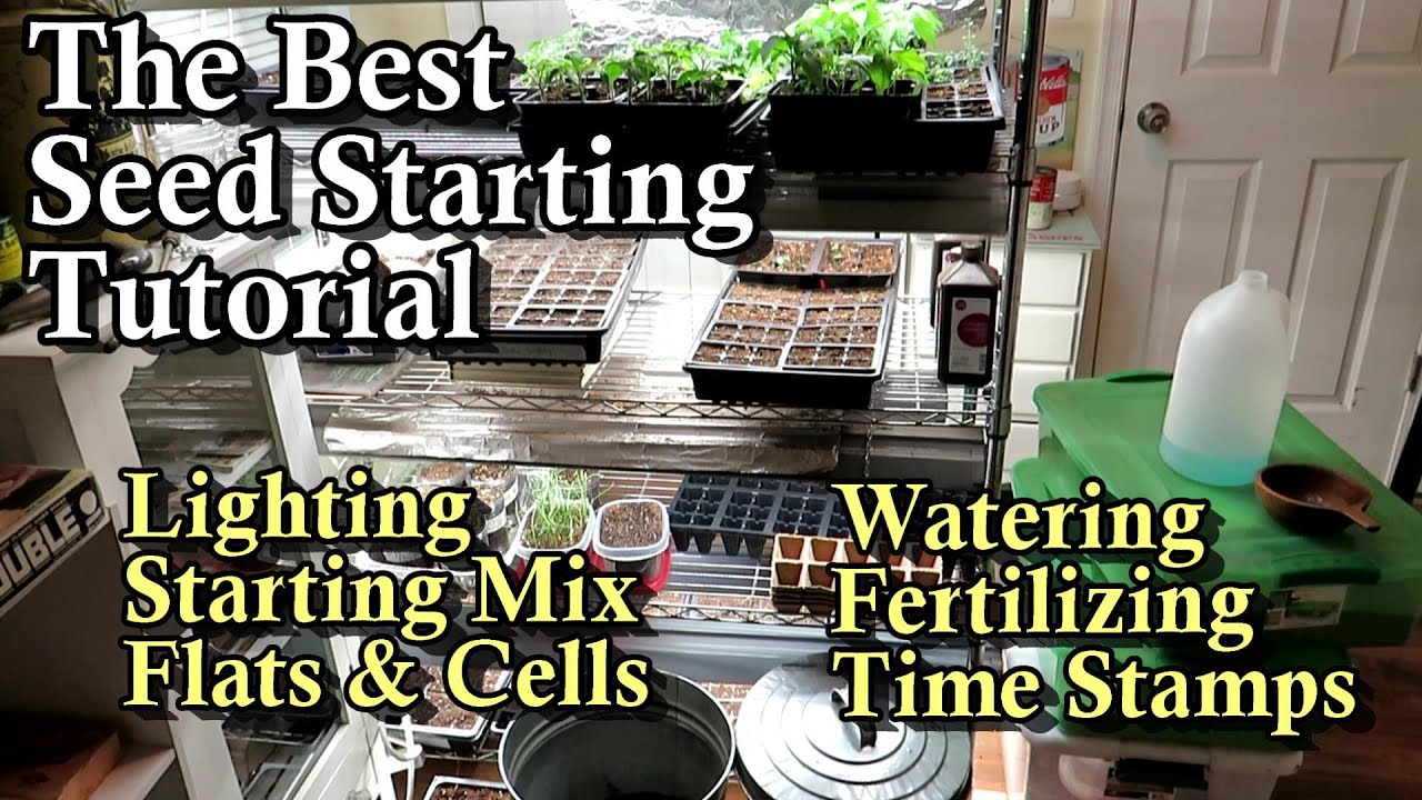 A Complete Guide for Starting Seeds Indoors  (Lighting, Seed Mix, Cells, Watering, & Fertilizing)