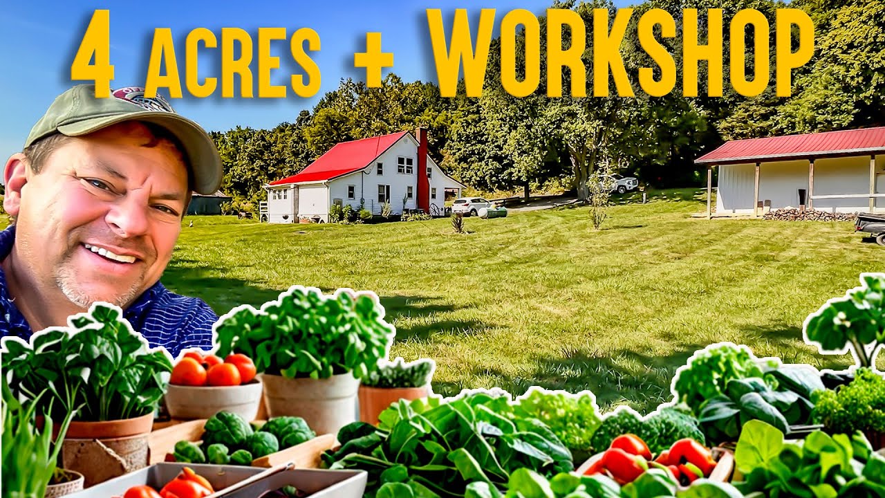 Top 5 Reasons You NEED 4 Acres of Land and a Workshop to Thrive
