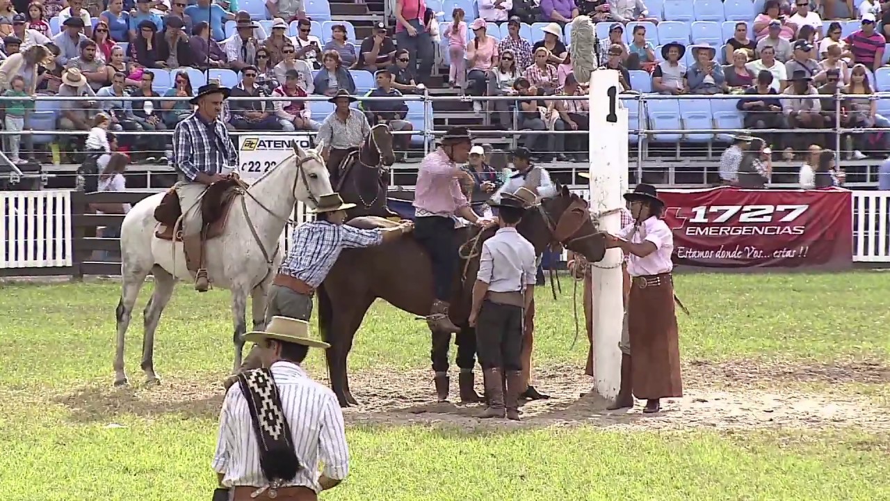 Internacional en pelo Domingo1/4 Criolla del Prado 2018