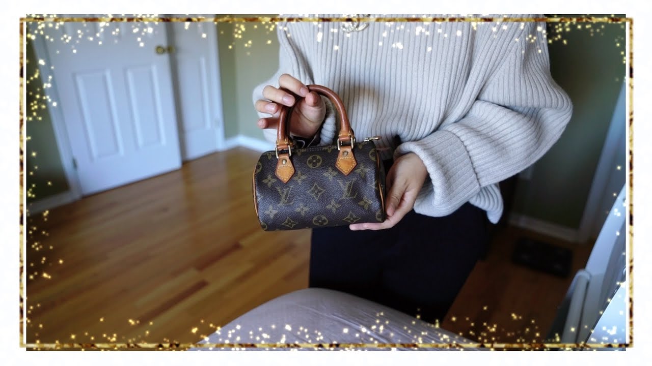 Louis Vuitton Reveal - Mini Speedy HL VS pochette accessories