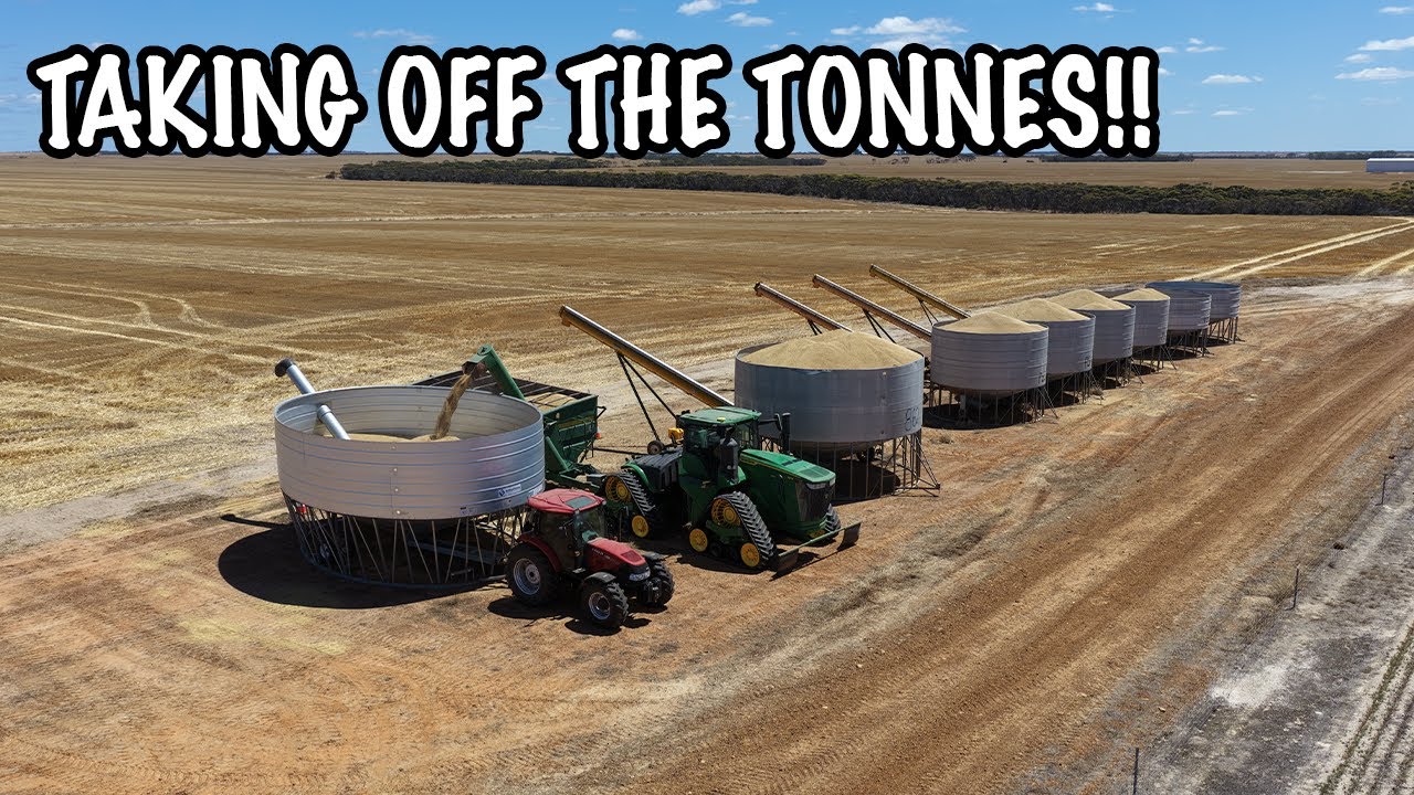 Продуктивный день... пока он не стал таким! | Урожай 2025 | Западная Австралия