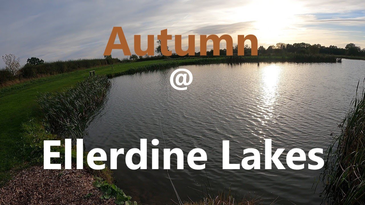 FLY FISHING AUTUMN at Ellerdine Lakes Fly Fishing Tips and great Advice for the Novice.