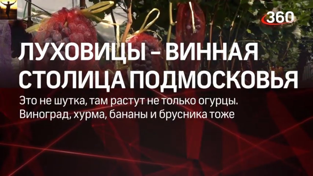 Телеканал 