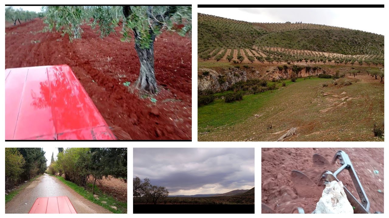 مالحقت أفلح الأرض.....بلشت تمطر الله يبعت الخير أجواء عفرينة