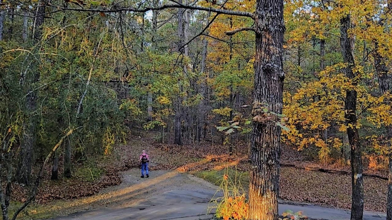 ASMR November Sunset Ambience: Distant Leaf Blower, Crickets, Light Traffic Sounds (Deep Sleep)