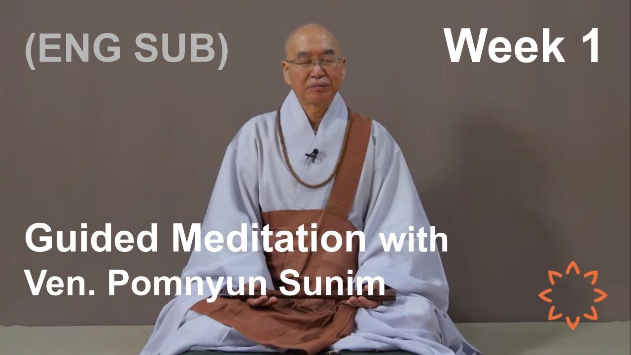 (EN/KO/日/中文/GER/FR SUB) Guided Meditation with Ven Pomnyun Sunim [Week 1]