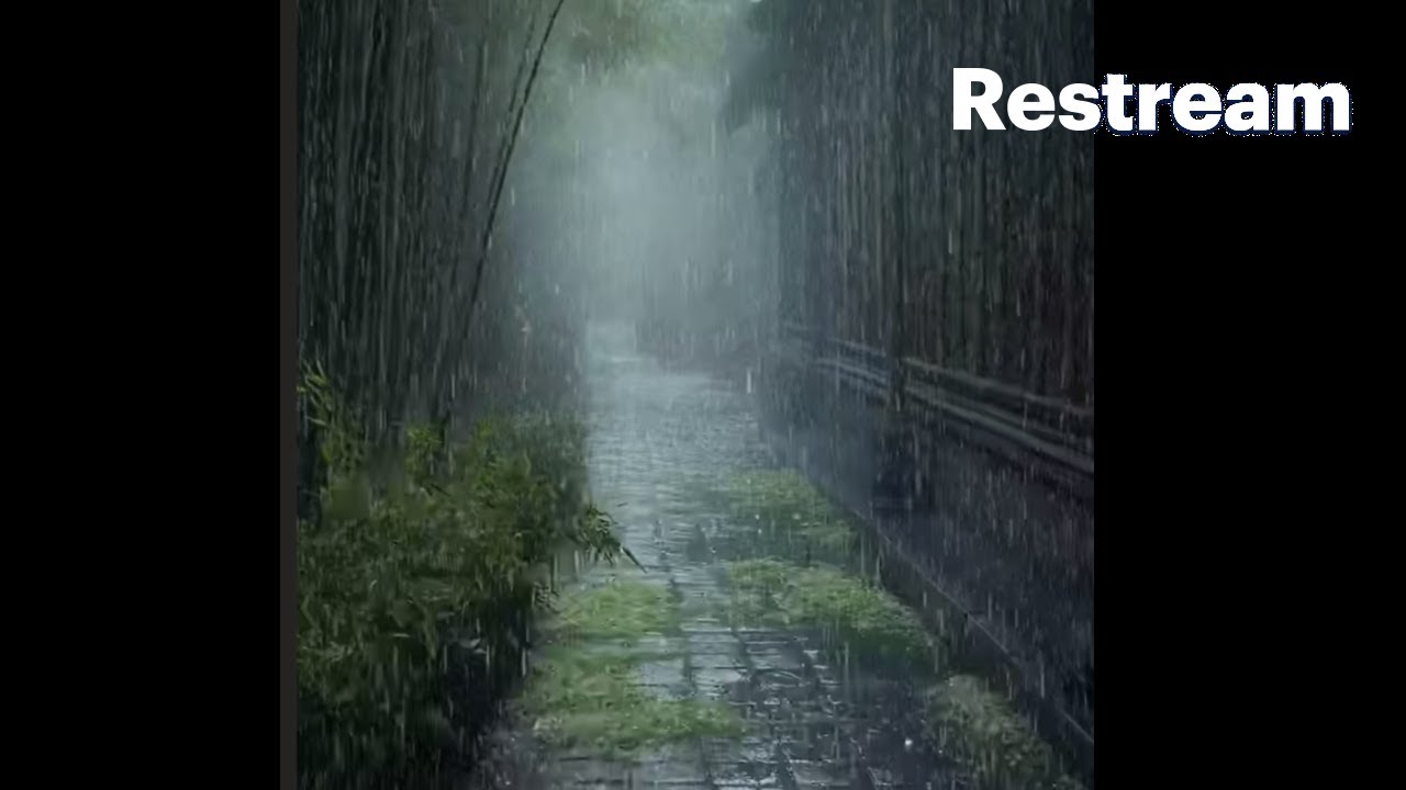 A Very Rainy Night 💖