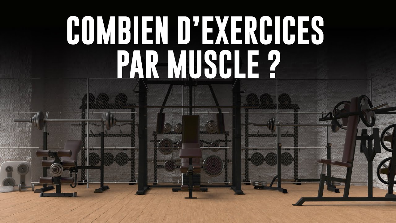 Combien D'EXERCICES faut-il faire par GROUPE MUSCULAIRE