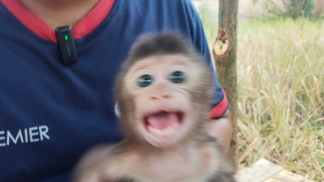 Oh no, baby Beni is emotional when he is released from his arms.
