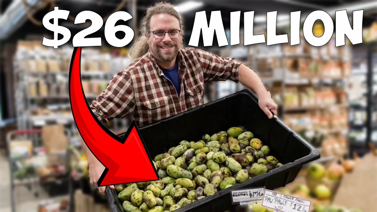 Продуктовый магазин, который спас 200 фермеров