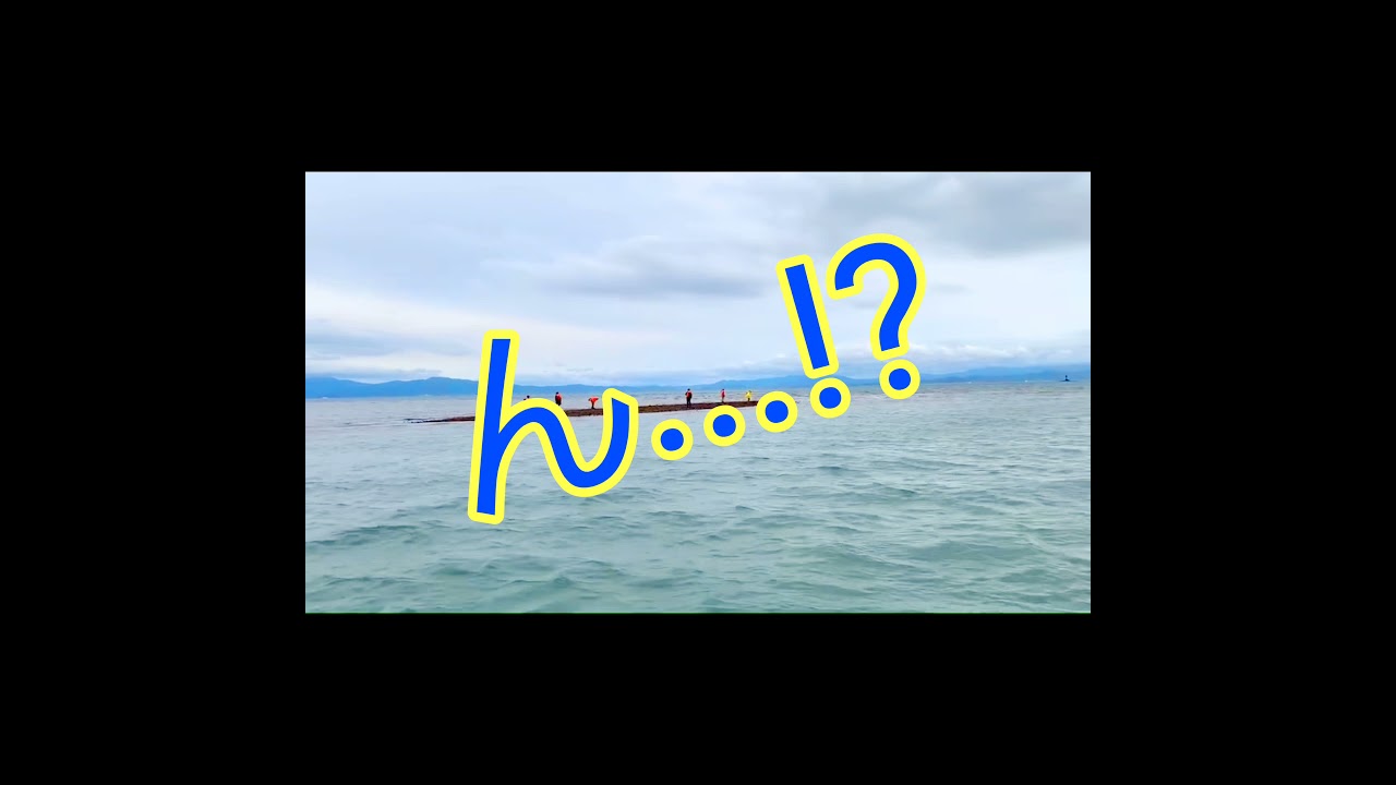 白洲【ﾘｿｻﾑﾆｭｰﾑ】珊瑚礁