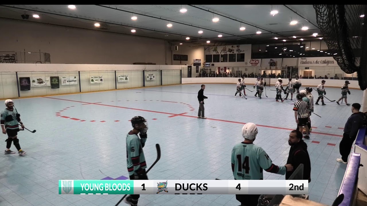YOUNG BLOODS VS VICTORIA DUCKS - COMPETETIVE DIVISION SEMI-FINAL