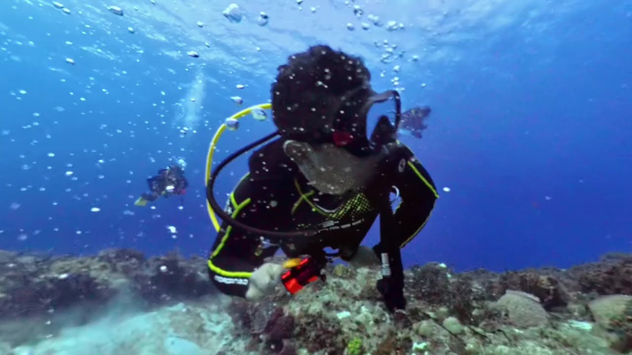 Buceo Relajante en Cozumel | Aguas Cristalinas, Arrecifes Silenciosos y un Llamado a la Conciencia