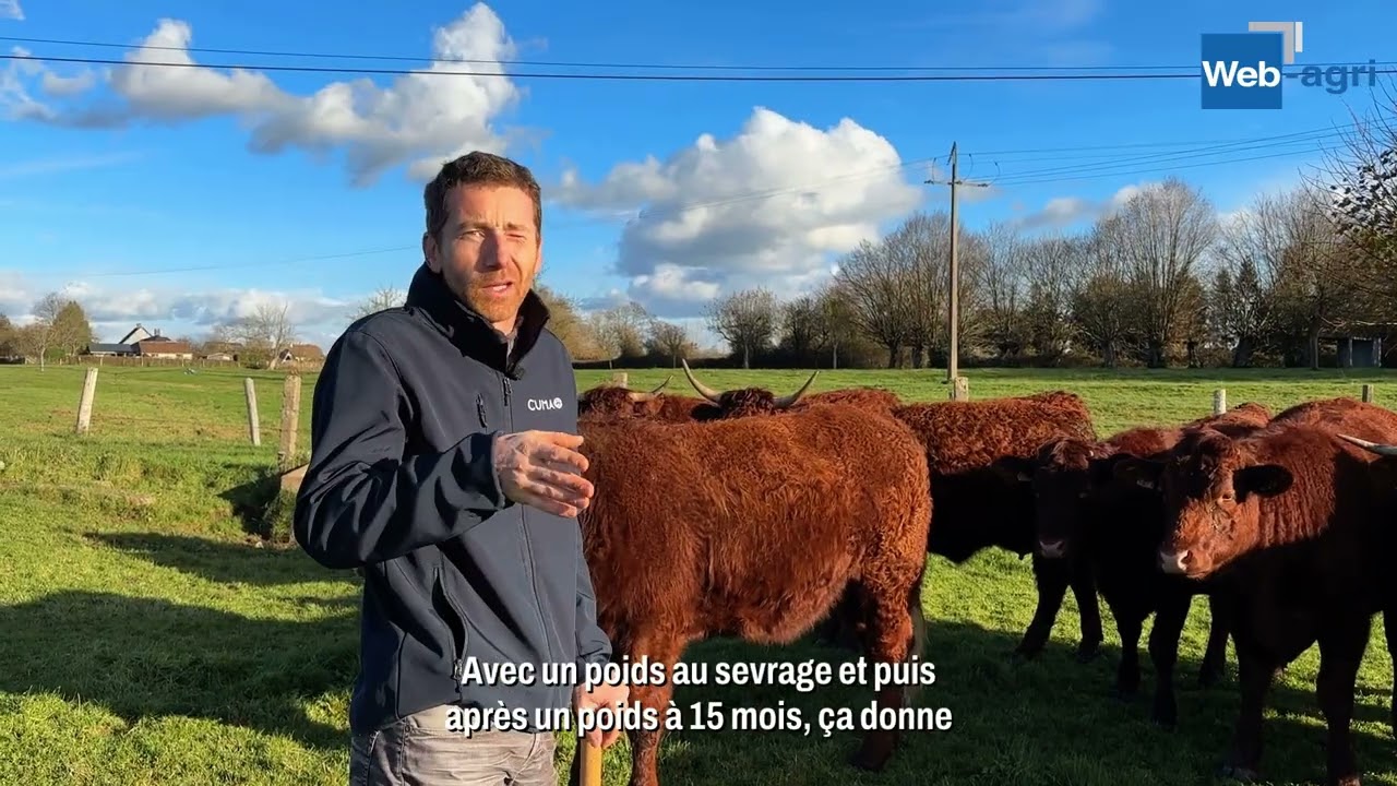 « Je ne m’attendais pas à ce que mes vaches puissent faire du vêlage 2 ans »