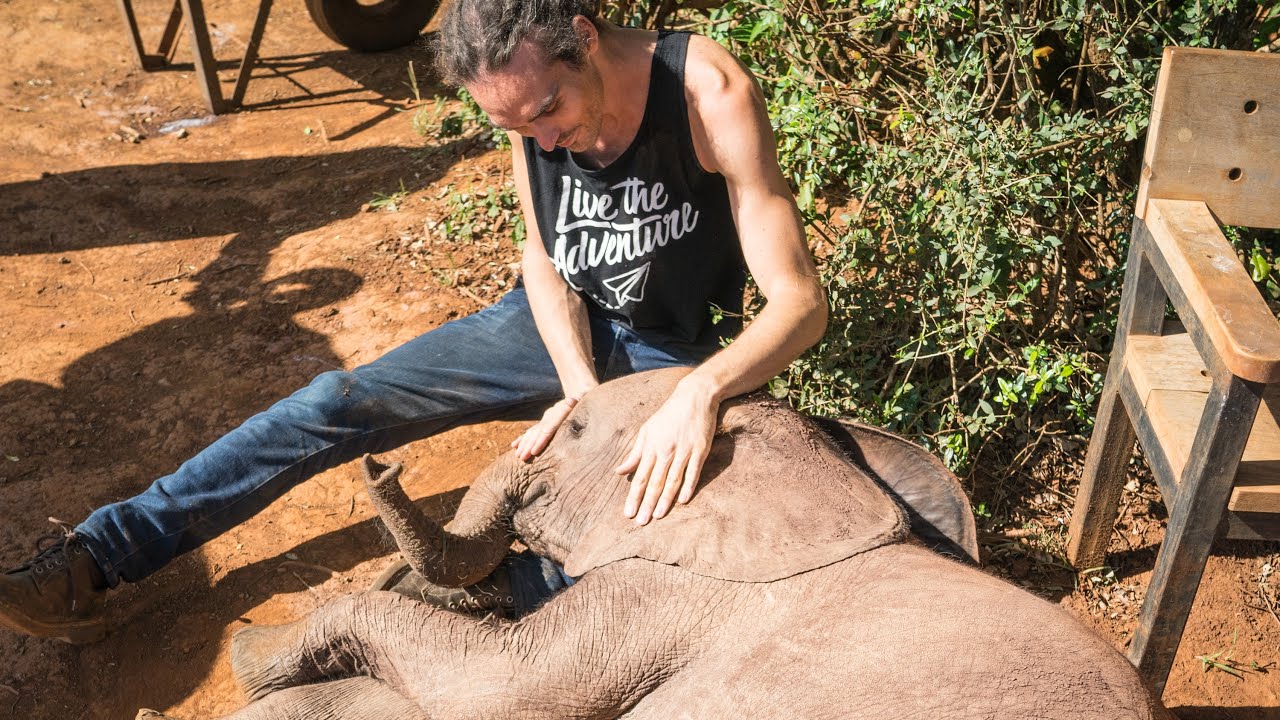 WE ADOPTED A BABY ELEPHANT
