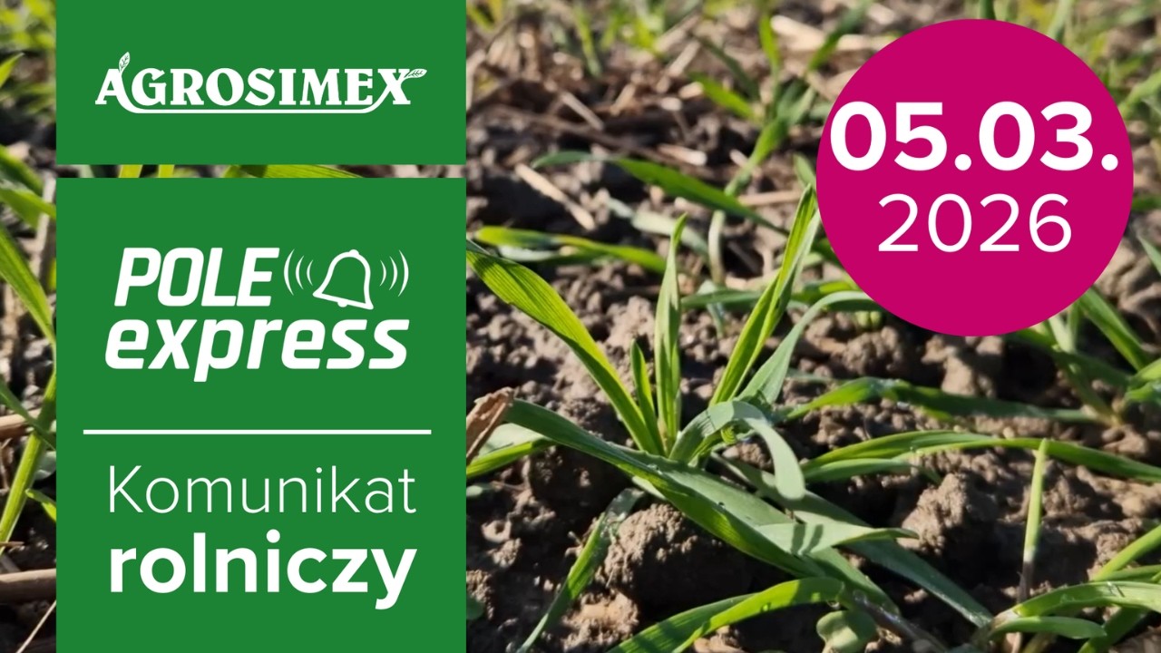 🌱 Regeneracja i wiosenne nawożenie ozimin | Komunikat Rolniczy