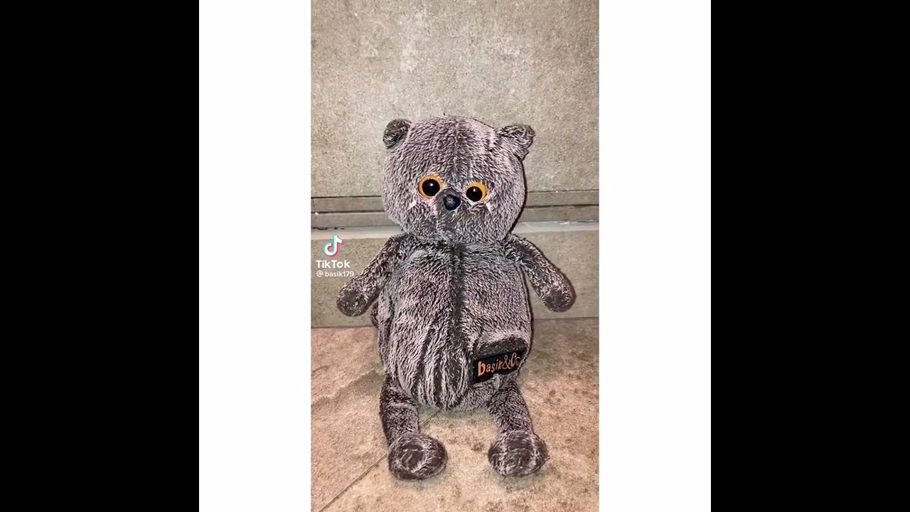 Басики из тт! 😝