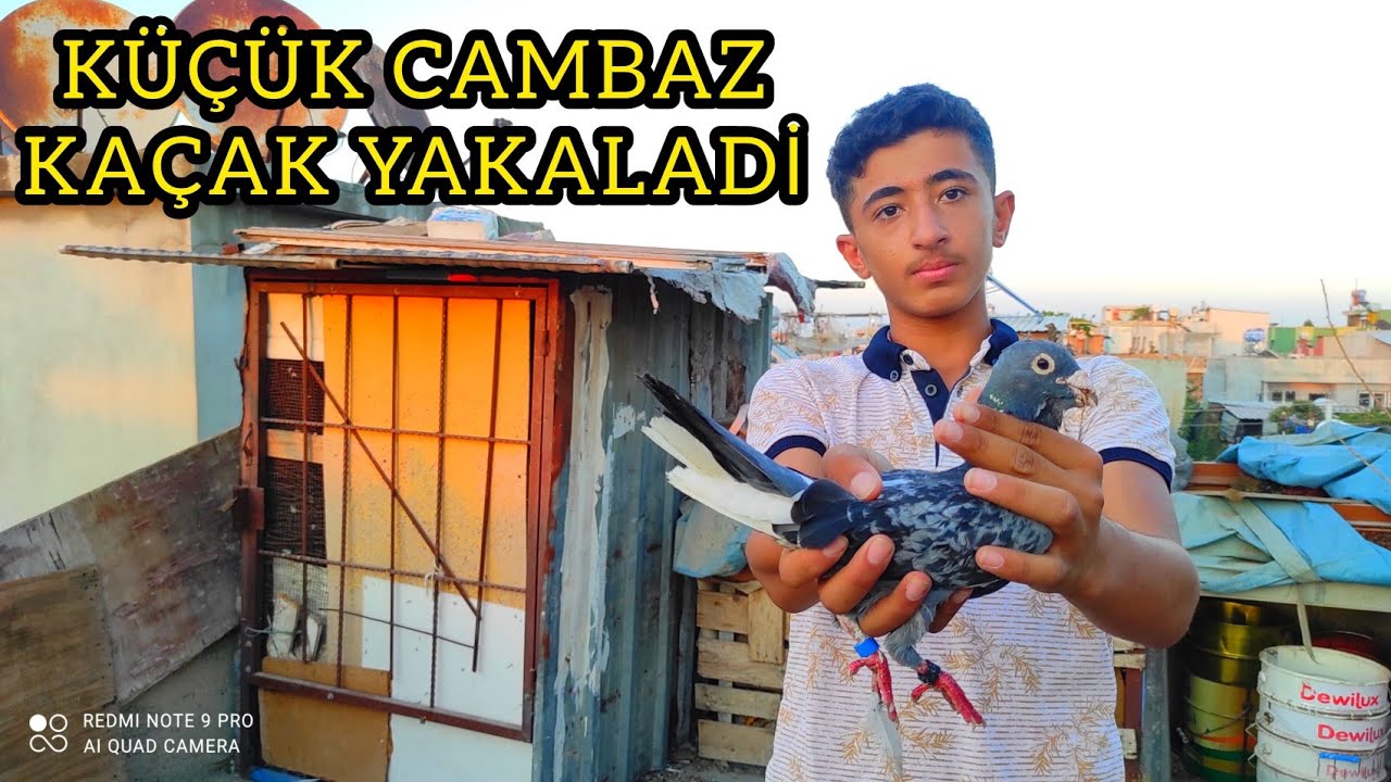 KAÇAK GÜVERCİN YAKALADIK KÜÇÜK CAMBAZ SAHNEDE !