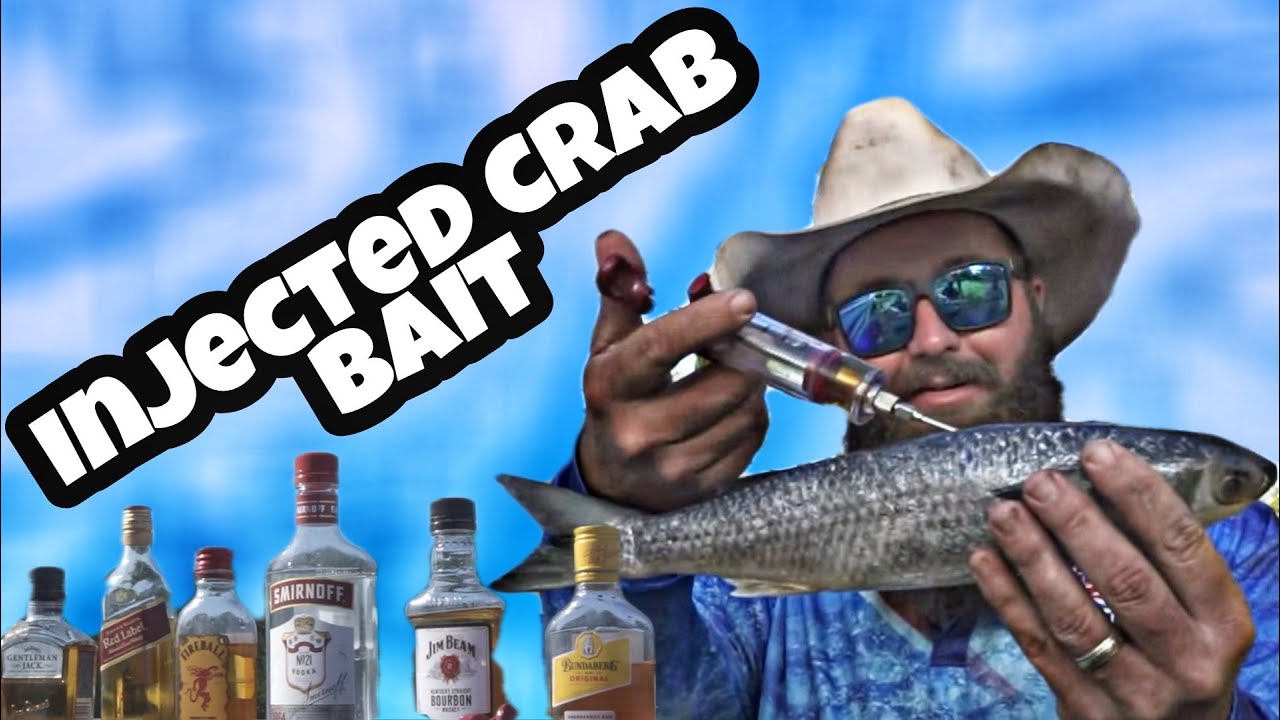 Инъецированная приманка для грязевого краба - #skidpig #mudcrab #crab