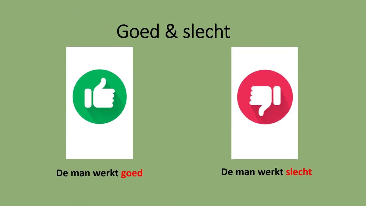 Les 7 - Tegenstellingen