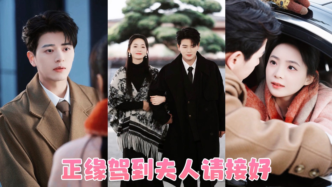 她誤以為他是自己的相親對象，直接把他帶回家結婚，圈子裏的人紛紛疑惑一向不近女色的賀總怎麼突然閃婚，直到那日晚宴結束，親眼看到他背起醉酒的小玫瑰回家，眼裏只有她一人！