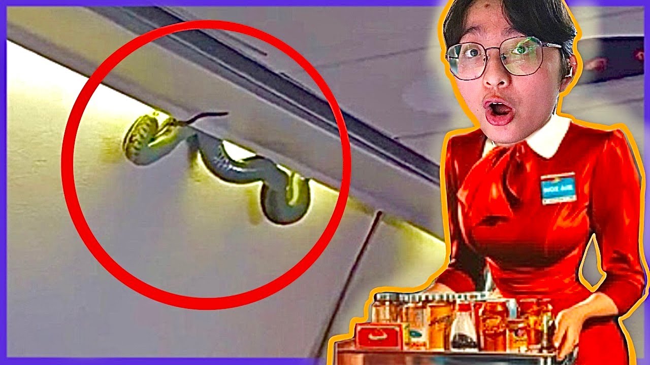 Có Rắn Trên Máy Bay Của Tuiiiiiiiiiii - Cabin Crew Life Simulator #2