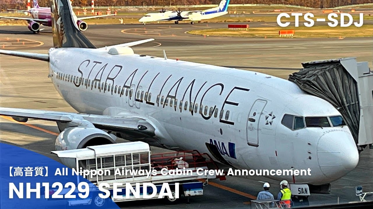 【高音質】NH1228便 仙台行き 機内アナウンス/NH1228 Flight to Sendai Cabin Crew Announcement(B737-800)