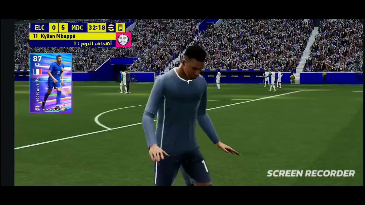 19 فبراير 2026