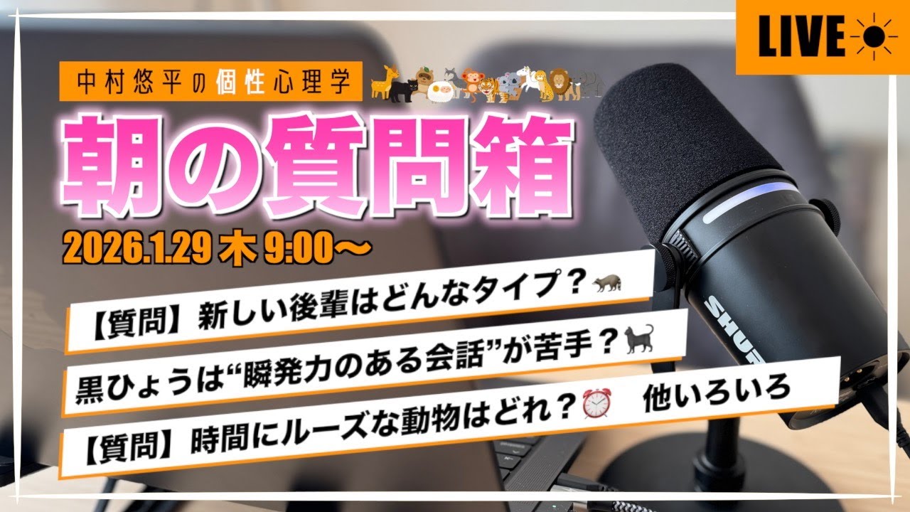 【2026.1.29☀️】新しい後輩はどんなタイプ？🦝×黒ひょうは“瞬発力のある会話”が苦手？🐈‍⬛×時間にルーズな動物はどれ？⏰他いろいろ【悩み相談/人間関係/自己分析】