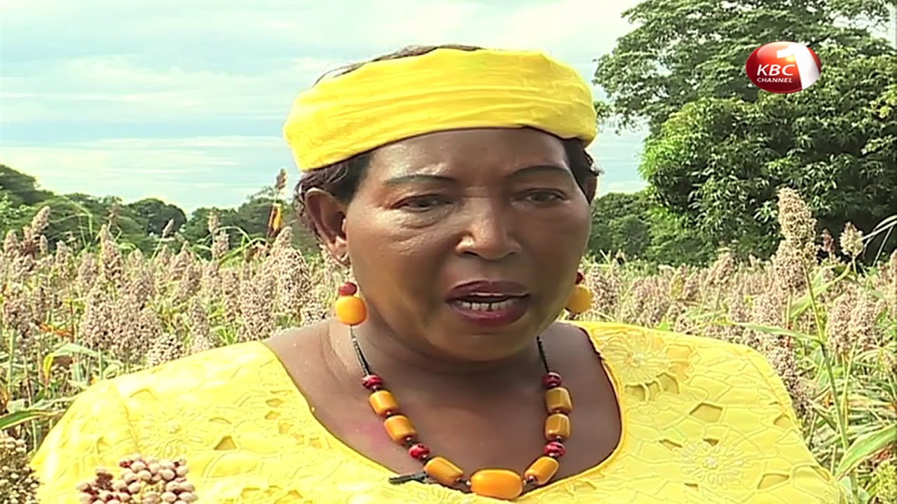 Farm Talk - Sorghum Farming in Tharaka Nithi