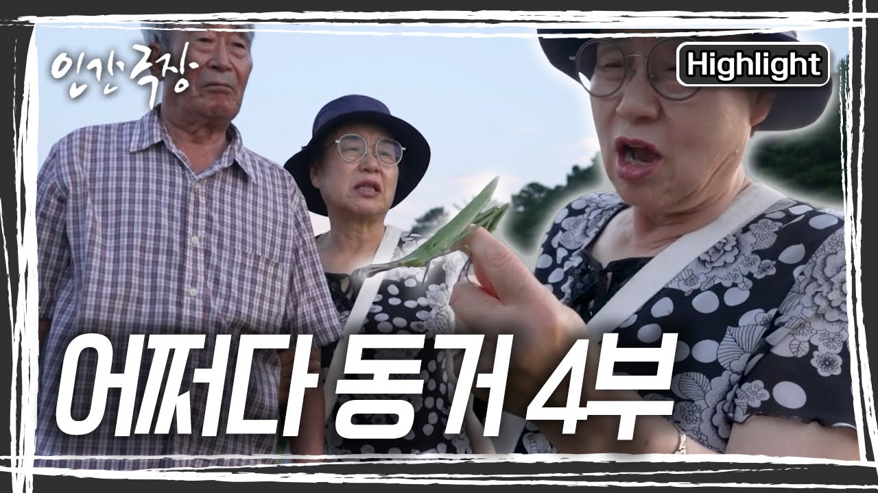 열흘 앞으로 다가온 이사. 금자 씨, 이삿짐을 싸는데... 갑자기 눈물을 왈칵 쏟는다! [인간극장] KBS 250828 방송