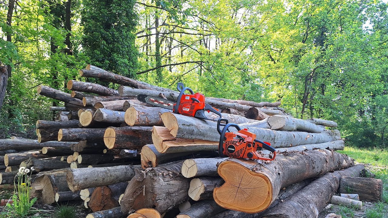 Echo CS 420 vs Oleo Mac GS 440 (same bar & chain, muffler mod)