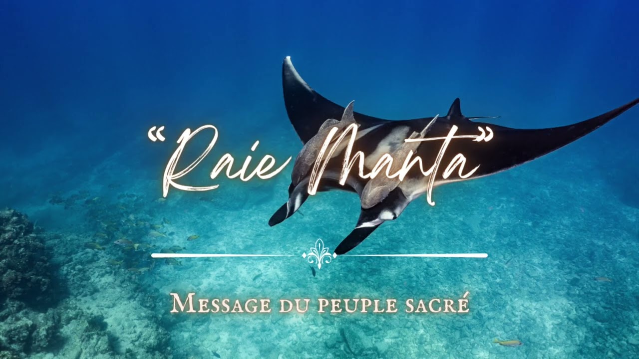 Message du peuple sacré - Raie Manta