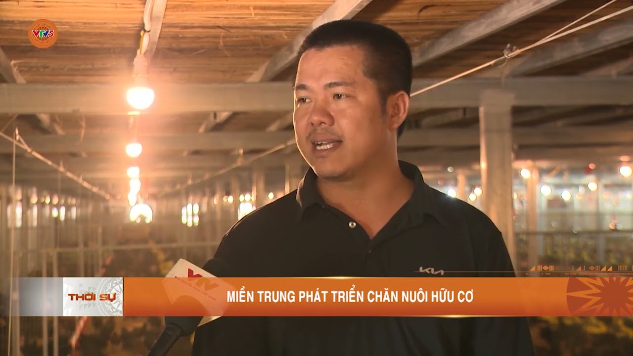 MIỀN TRUNG PHÁT TRIỂN CHĂN NUÔI HỮU CƠ | VTV5