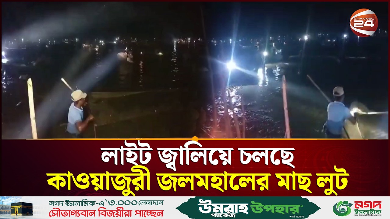 সুনামগঞ্জে লাইট জ্বালিয়ে চলছে কাওয়াজুরী জলমহালের মাছ লুট | Fish | Sunamganj | Channel 24