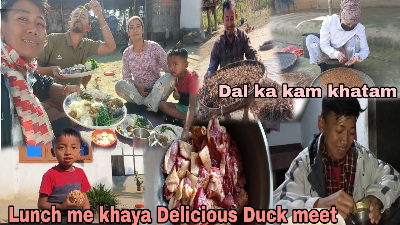 Lunch mein khaya Delicious 😋 duck meet// Dal ka kam khatam kiya