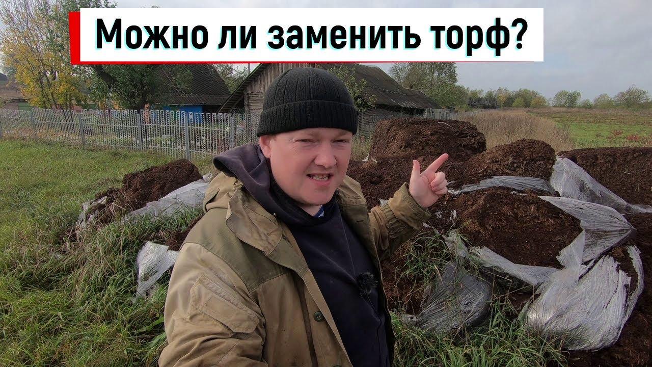 Есть ли замена торфу? // Какой субстрат нужен голубике