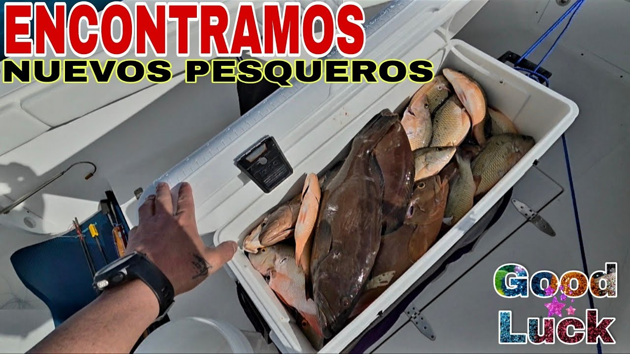 30 MILLAS en busca de PECES y AGUA LIMPIA 