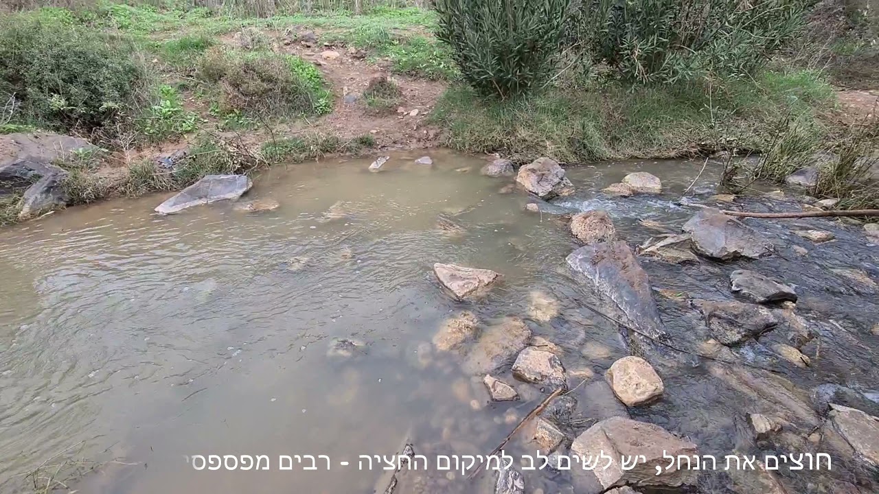 נחל תבור