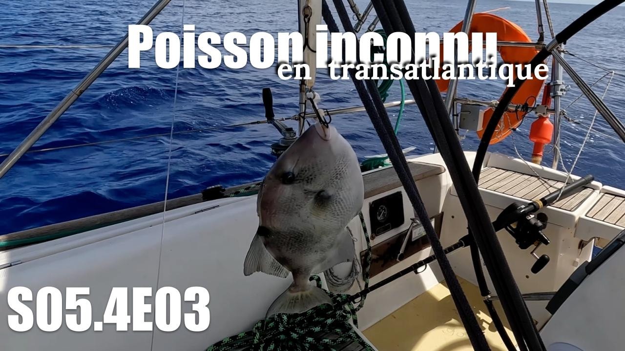 Est-ce que je le mange ? - S05.4E03 / (Bag-Bihan)