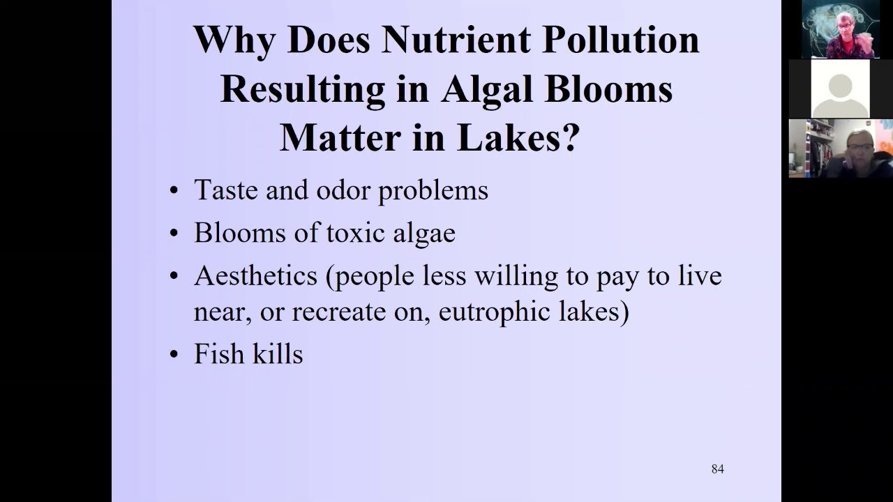 Freshwater Ecology: Eutrophication.  Chapter 18 part a